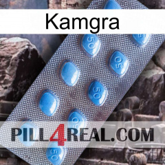 Kamgra viagra3